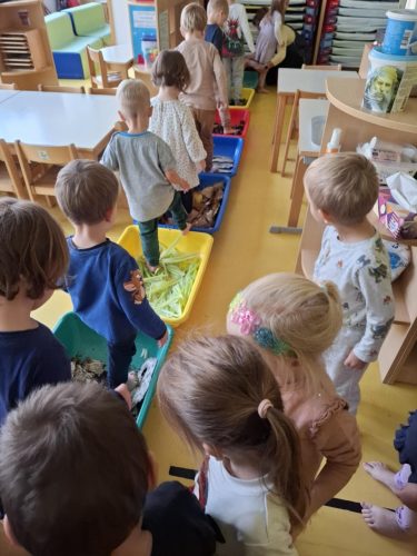 0175b715-9cbd-4532-b5fc-4b43006c123c