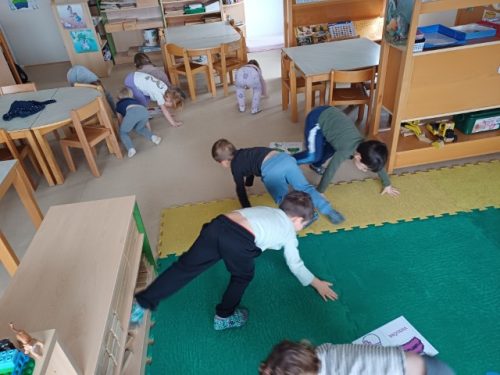 20260130_104546 (Small)