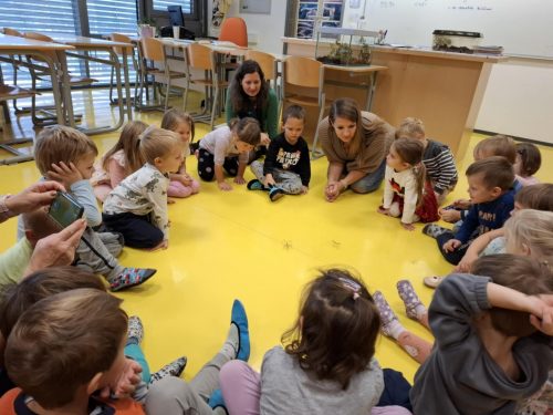 50dc39e1-da4e-4b50-857a-a555cbe13063