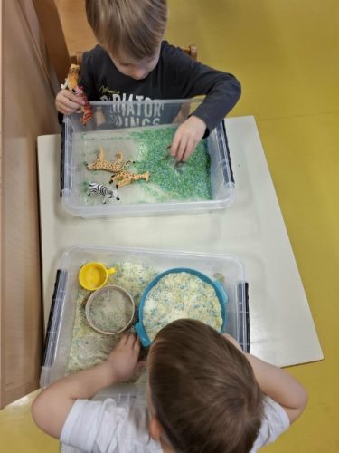 5fe8c037-1a8a-4c00-84d7-9dc90cc6d457