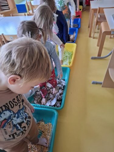 7479485b-9880-40df-890a-c1178279705a