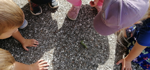 IMG_20250905_105456 (2)