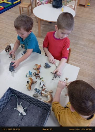 IMG_20260115_094730[1] (Small)