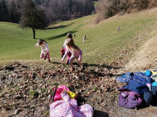 IMG_20260225_102827 (1)