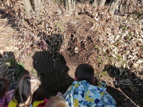 IMG_20260225_105200 (1)