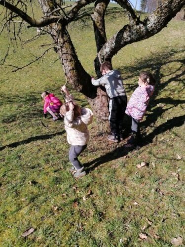 IMG_20260226_100308 (1)