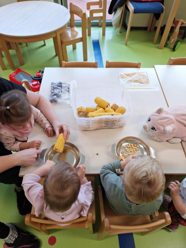 Messenger_creation_97679B11-19C6-4872-8C1D-80823A1BC778