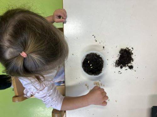 received_1203495074973494